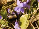 _DSC5183.webp