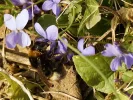 _DSC5187.webp