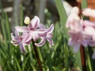 _DSC5202.webp