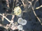 DSCF6613.webp