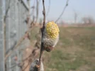 DSCF6610.webp