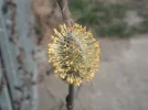 DSCF6609.webp