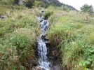 D0101.webp