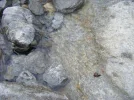 D0173.webp
