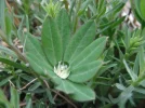 DSCF6620.webp