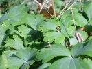 DSCN1811.webp