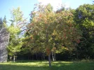 switzerlandA0031.webp