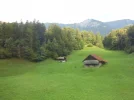 D0010.webp