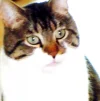 DSCN5696.webp