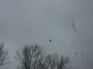 SAM_5469.webp