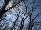 DSCF6373.webp