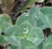 DSCF6624.webp