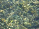 A0101.webp
