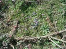 DSCF6663.webp