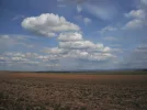 DSCF6668.webp