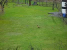 SAM_5481.webp