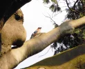 DSCN6427.webp