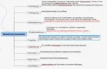 Abwehrmechanismen.webp