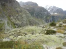 D0174.webp