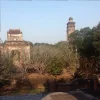 image.webp