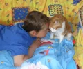 SAM_0550.webp