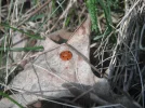 DSCF6703.webp
