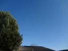 DSC00556.webp