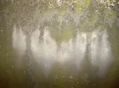 wallsm.webp