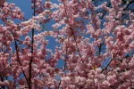 IMG_3192 (1024x683).webp