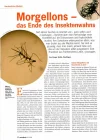 Morgellons001.webp