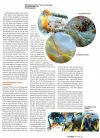 Morgellons002.webp