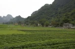 DSC_0190.webp