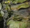 Botanischer Garten April 2015 (4 von 12).webp
