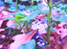 DSCN6515.webp