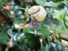 DSCN6621.webp