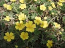 DSCF6720.webp