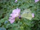 Bild 1888.webp
