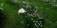 IMG_6927.webp