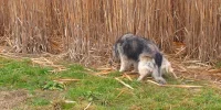 IMG_0682.webp