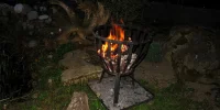 IMG_1634.webp