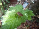 Bild 2135.webp