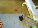 fotos alt 272.webp