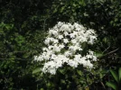 DSCF6920.webp