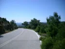 DSCI0019.webp
