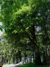 IMG_7202.webp