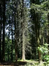 IMG_7204.webp