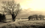 IMG_3340 (2).webp