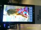 DSCF0079.webp