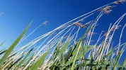 20150524_164052.webp