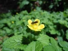 DSCN6947.webp